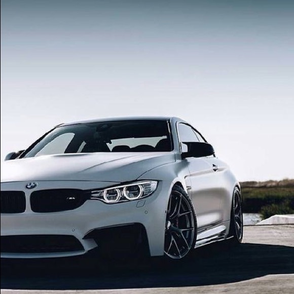 Meet your Posher, Alex - Picture 1 of 1